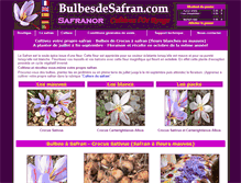 Tablet Screenshot of bulbesdesafran.com